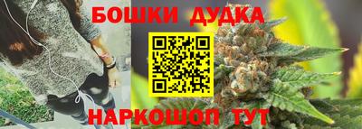 прущий лед Будённовск