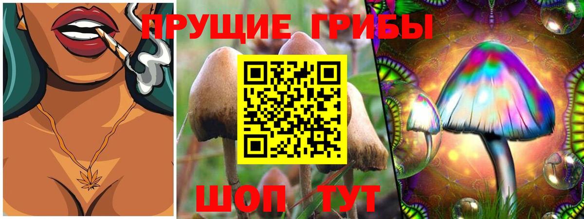 Кинель  Галлюциногенные грибы мухоморы  Вход с VPN 